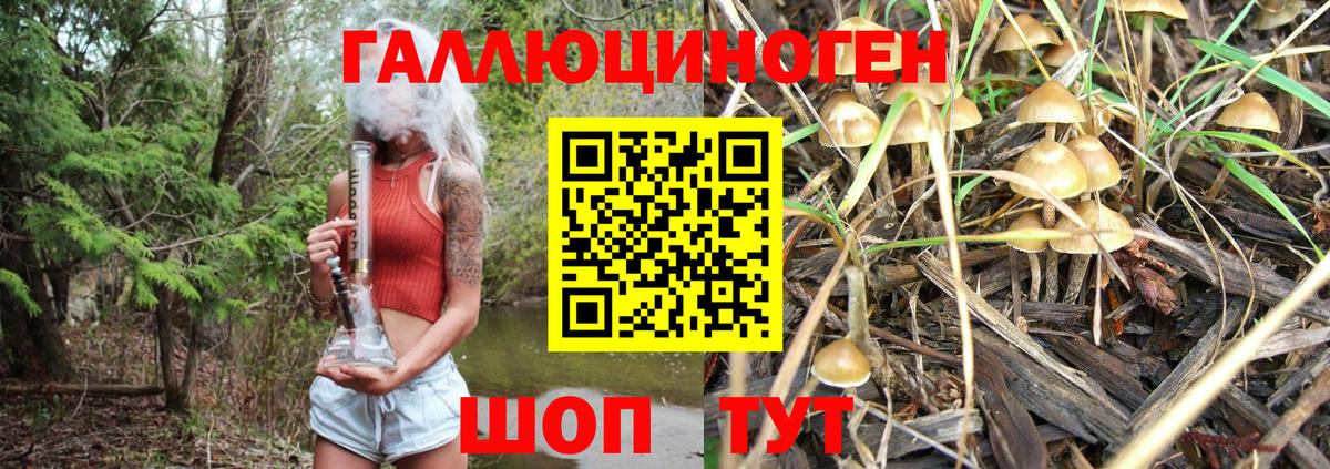 Камень-на-Оби  Галлюциногенные грибы ЛСД  Вход с VPN 